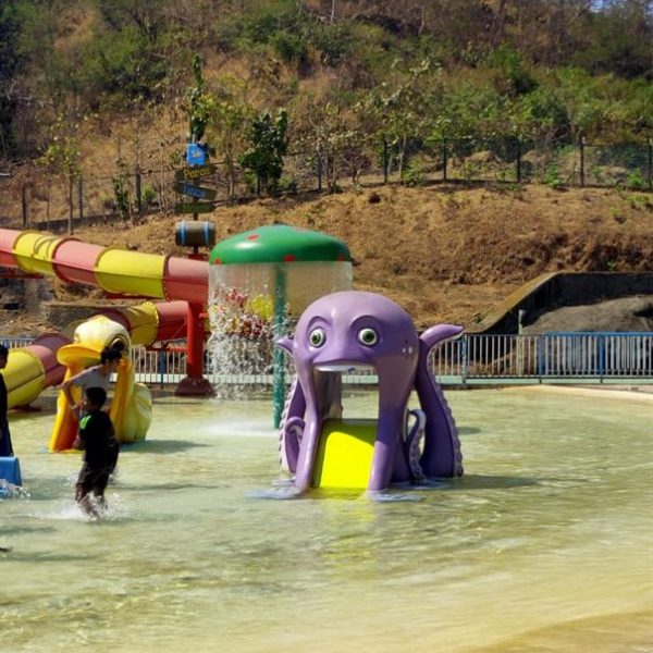 Octopus Slide