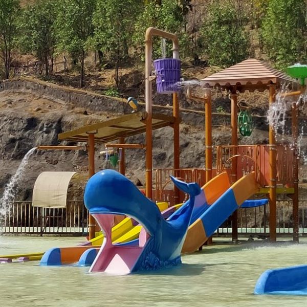 Whale slide (1)